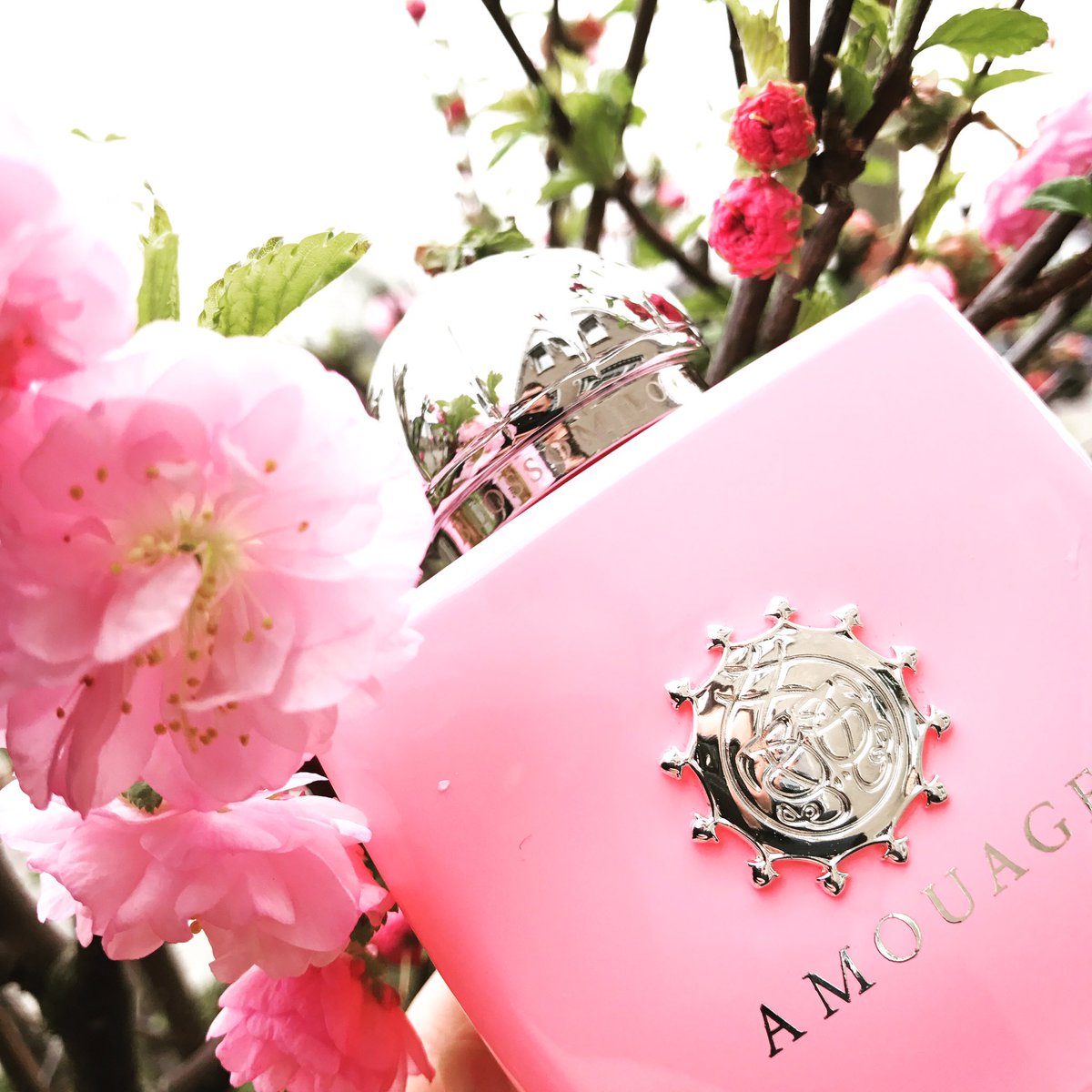Amouage Blossom love